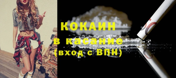 гидра Козловка