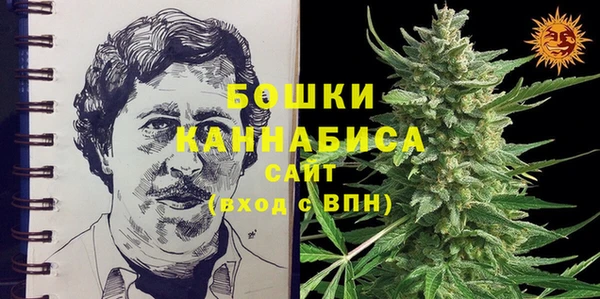 соль ск Козельск