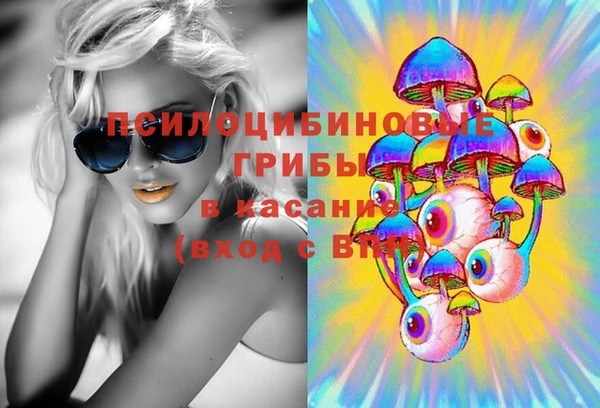 соль ск Козельск