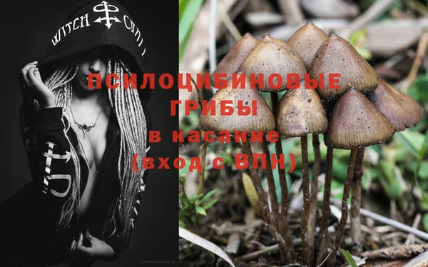 первитин Киреевск