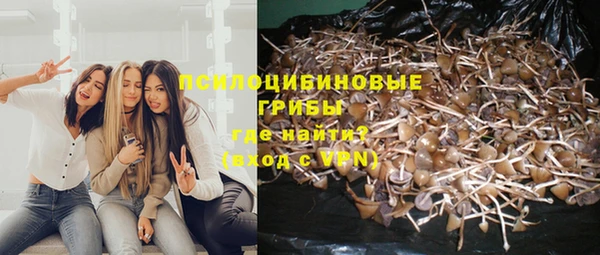 эйфоретик Кодинск