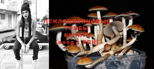 соль ск Козельск