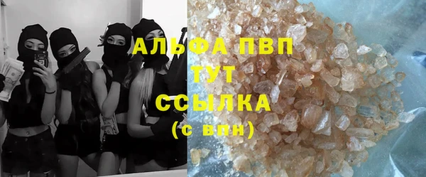 гидра Козловка