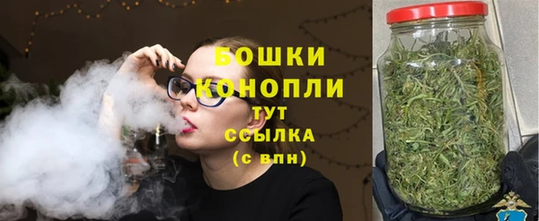 гидра Козловка